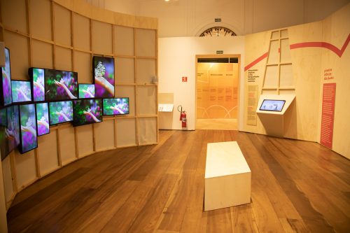 22---260727_Intercultura_P_Infancias_7301